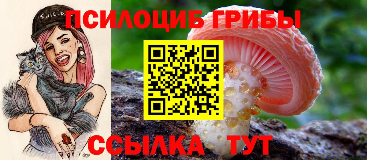 Новосибирск  купить наркоту  Вход с VPN  Псилоцибиновые грибы Psilocybe  Галлюциногенные грибы прущие грибы 