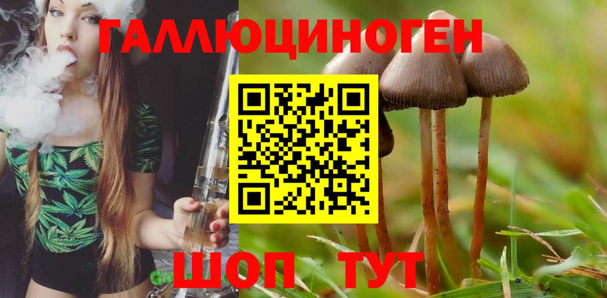 Псилоцибиновые грибы ЛСД Новосибирск